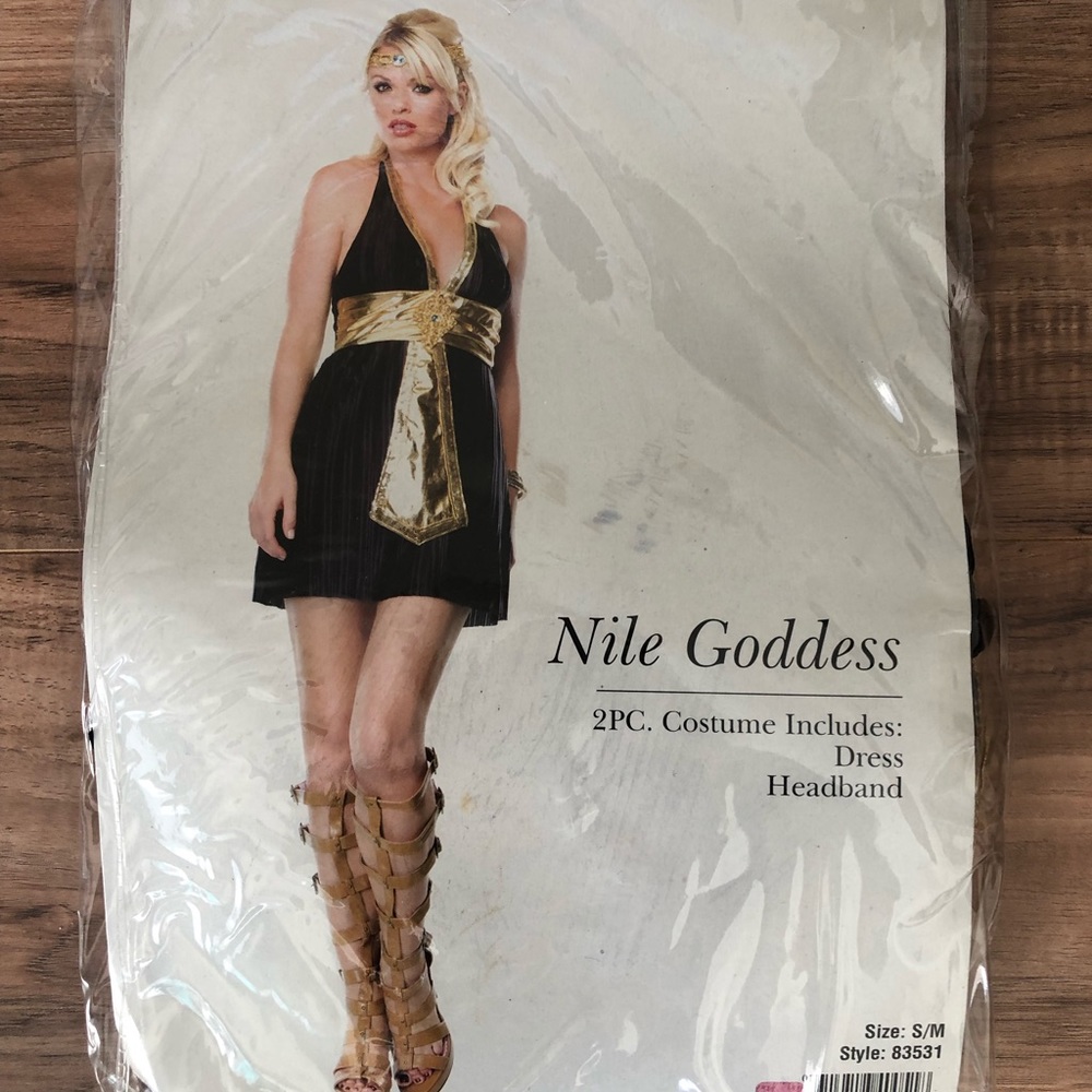 🦊Egyptian Goddess Costume